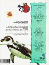 چراهای شگفت انگیز پنگوئن ها